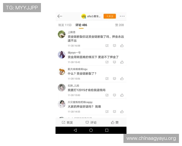 凯发娱乐登录用户评价汇总，真实体验分享助您选择信赖平台