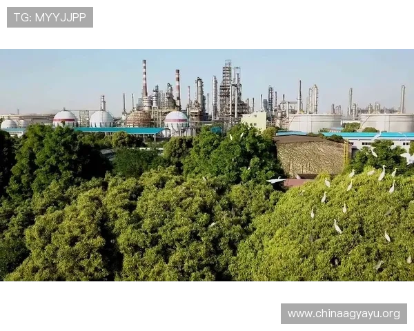 凯发真人国际积极响应国家政策推动行业健康发展实现绿色安全运营目标