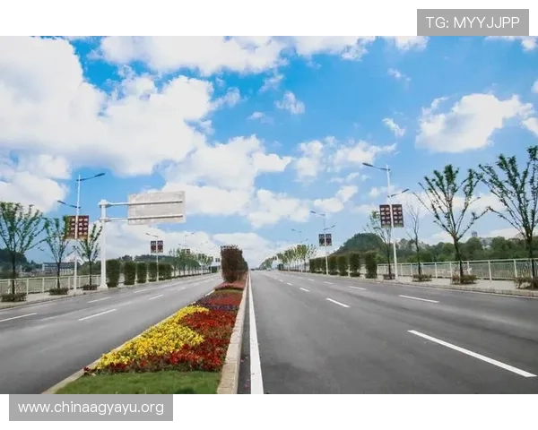 凯发电游游戏：丰富的游戏类型选择，满足不同玩家的多样化需求